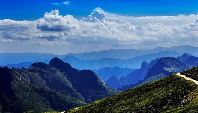 【情形；；ぁで亓胛ソā壳亓胛ソū鹗:总书记扭住不放才得以彻底整治